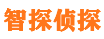 元坝私人侦探